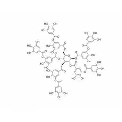 Teknik Kalite | Tannik asit / Tannic acid 1KG